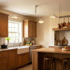 Duckbill Shaped Spider Ceiling Light