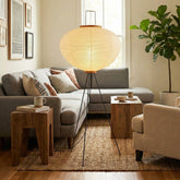 Akari Minimalist 10A 14A Floor Lamp
